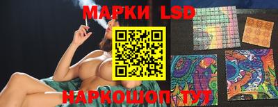 мдпв Донецк