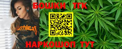 индика Дубна