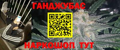 индика Дубна