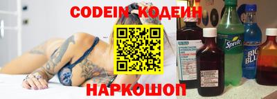 индика Дубна