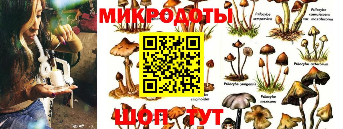 магазин  наркотиков  Галлюциногенные грибы Magic Shrooms  Вход с VPN  Медногорск 