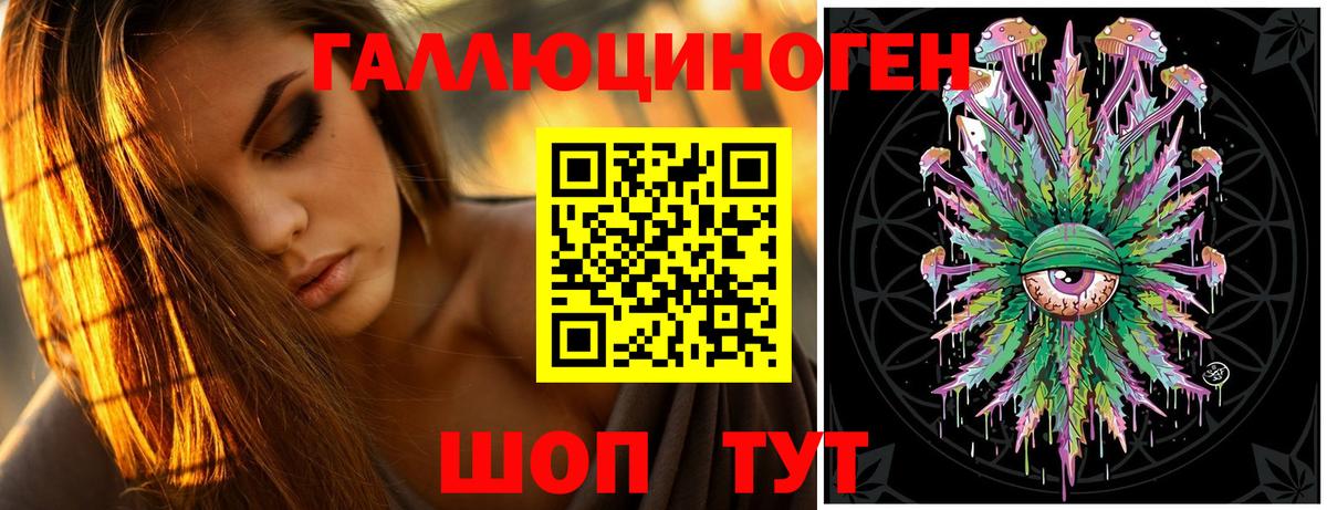 Галлюциногенные грибы Psilocybine cubensis Медногорск