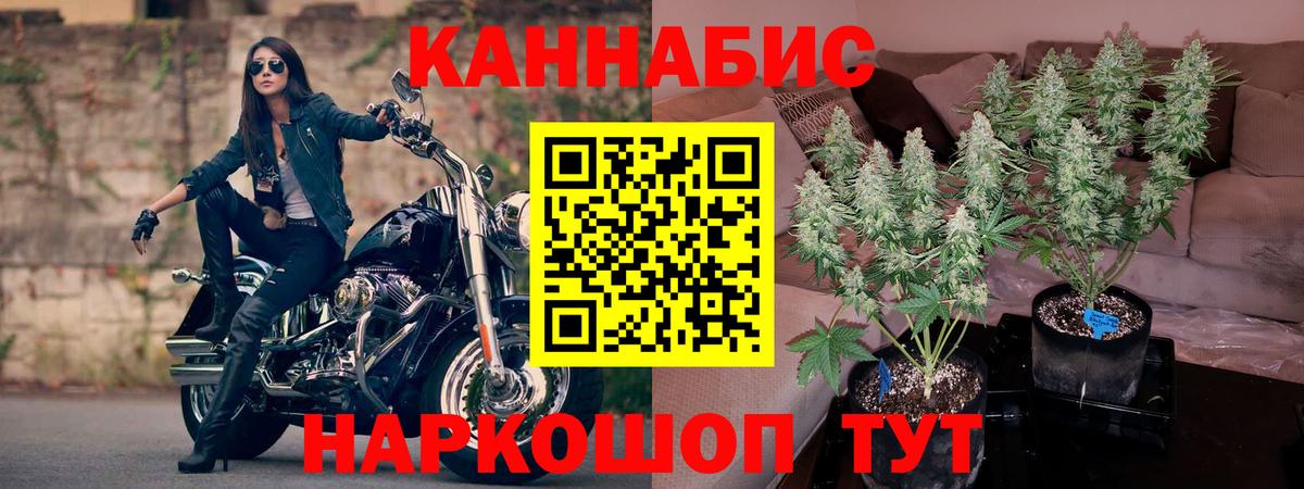 Марихуана THC 21%  Вход с VPN  МАРИХУАНА THC 21%  Марихуана OG Kush  Медногорск 